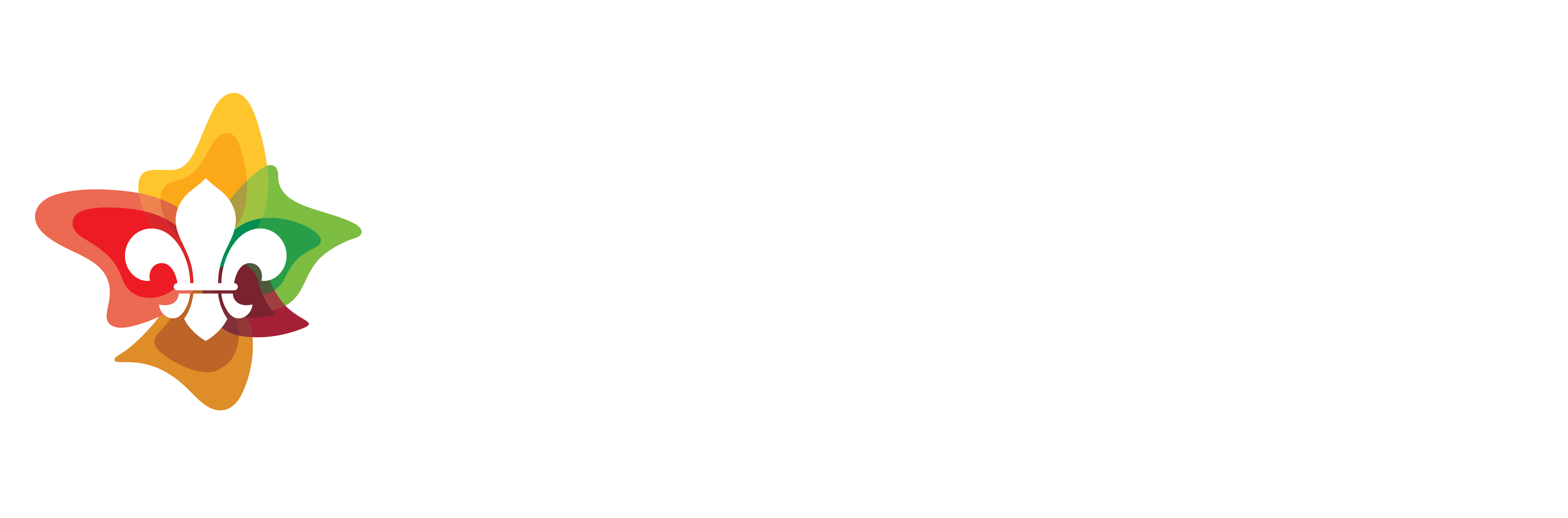 Scouts Victoria STEM Team Logo